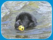 Превью фото № 241663