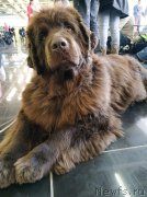 Превью фото № 241670