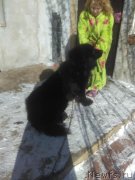 Превью фото № 241679