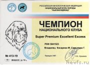 Превью фото № 241681