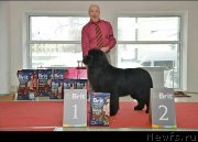 Превью фото № 241697