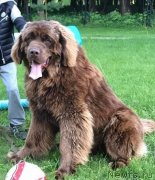 Превью фото № 241703