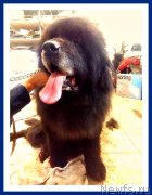 Превью фото № 241704