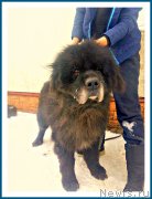 Превью фото № 241708