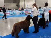 Превью фото № 241714