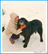 Превью фото № 241781