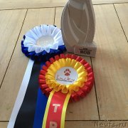 Превью фото № 241794