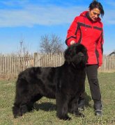 Превью фото № 241800