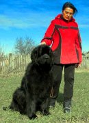 Превью фото № 241802