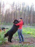 Превью фото № 241816