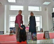 Превью фото № 241872