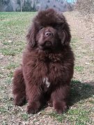 Превью фото № 241910