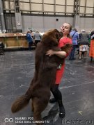 Превью фото № 241919