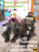 Превью фото № 241948