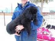 Превью фото № 241951