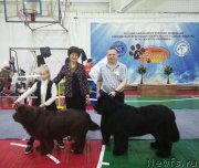 Превью фото № 241955