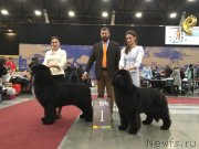 Превью фото № 241964