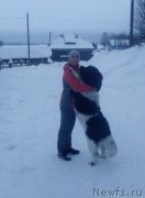 Превью фото № 241971