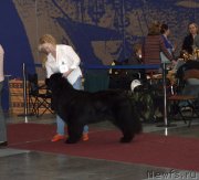 Превью фото № 241989