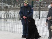 Превью фото № 242010