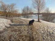 Превью фото № 242017