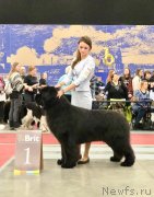 Превью фото № 242021