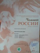 Превью фото № 242027