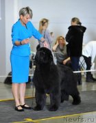 Превью фото № 242029