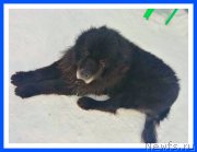 Превью фото № 242033