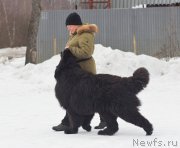 Превью фото № 242037