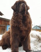 Превью фото № 242053