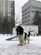 Превью фото № 242069