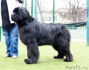 Превью фото № 242074