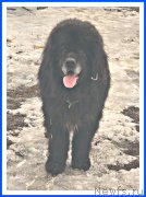 Превью фото № 242075