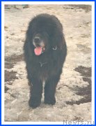 Превью фото № 242076