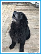 Превью фото № 242077