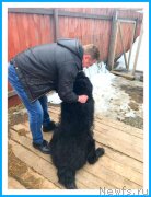 Превью фото № 242081