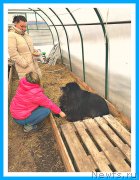 Превью фото № 242082