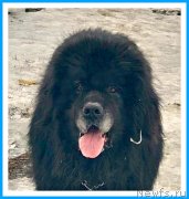 Превью фото № 242084