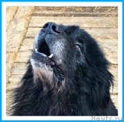 Превью фото № 242086