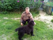 Превью фото № 242113