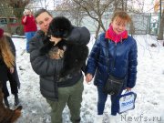 Превью фото № 242135