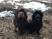 Превью фото № 242168