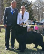 Превью фото № 242175