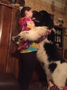 Превью фото № 242197