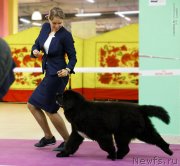 Превью фото № 242211