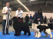 Превью фото № 242214