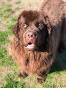 Превью фото № 242216