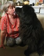 Превью фото № 242219