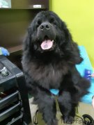 Превью фото № 242275